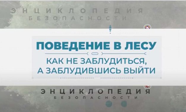 Поведение в лесу. Энциклопедия безопасности