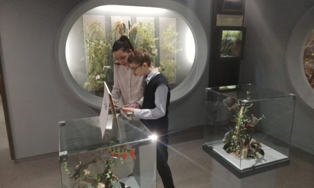Первое заседание районной школы музейного актива «Луч»