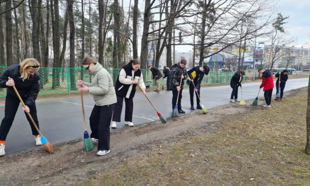 Делаем город чище