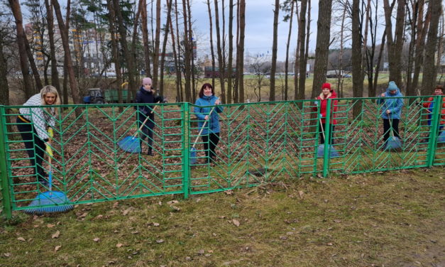 Городской субботник