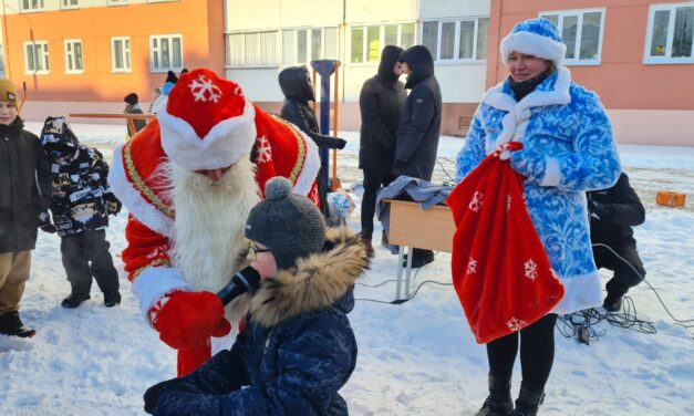 Рождественские забавы