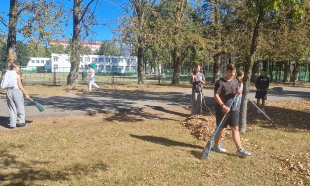 Субботник БРСМ, посвящённый Дню народного единства