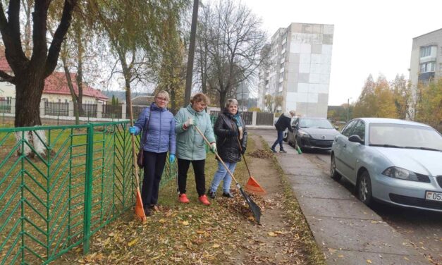 🍂 Городской субботник: вместе за чистоту и порядок