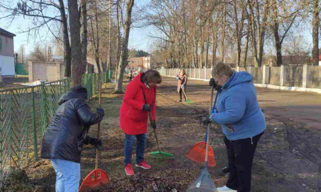 Субботник по наведению порядка