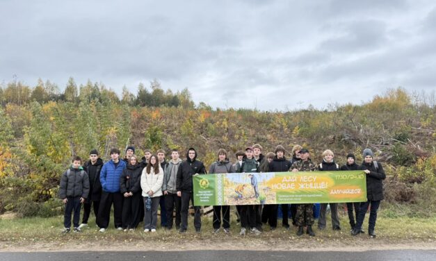 Дай лесу новае жыццё! 🌲💚 Чистый воздух и зеленое будущее Беларуси — дело наших рук!
